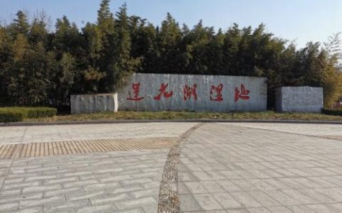 莲花湖生态湿地公园，凭身份证可免费畅游，最适合亲子与休闲游